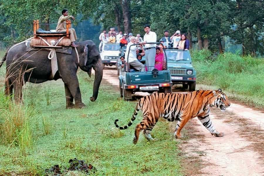 JIM CORBETT TOUR