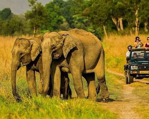 Jim Corbett