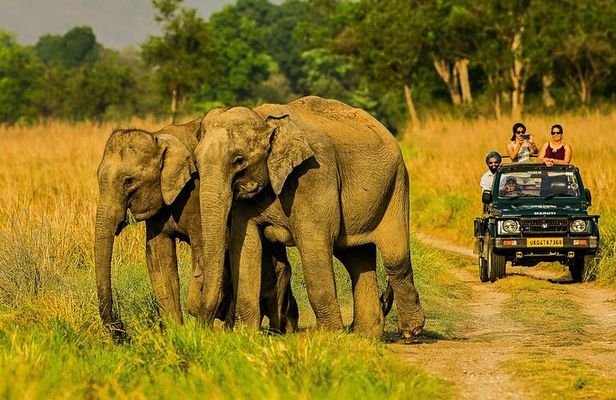 Jim Corbett