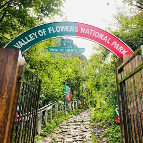 Valley Of Flowers